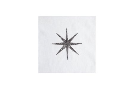 Picture of 40198 Dazzling Glitter Brush-On Fabric Paint Dazzling Onyx 2 oz.
