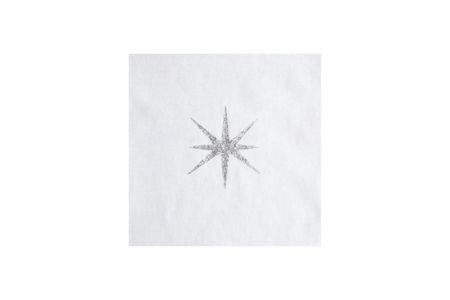 Picture of 40197 Dazzling Glitter Brush-On Fabric Paint Dazzling Silver 2 oz.