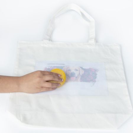 Picture of 49197                               TULIP PHOTO TRANSFER KIT                          