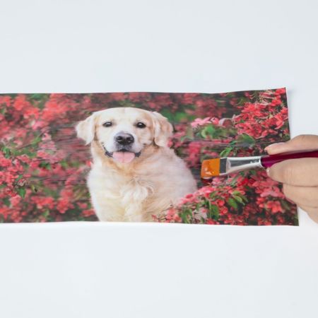 Picture of 49197                               TULIP PHOTO TRANSFER KIT                          
